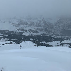 Meet your Posher, Noah